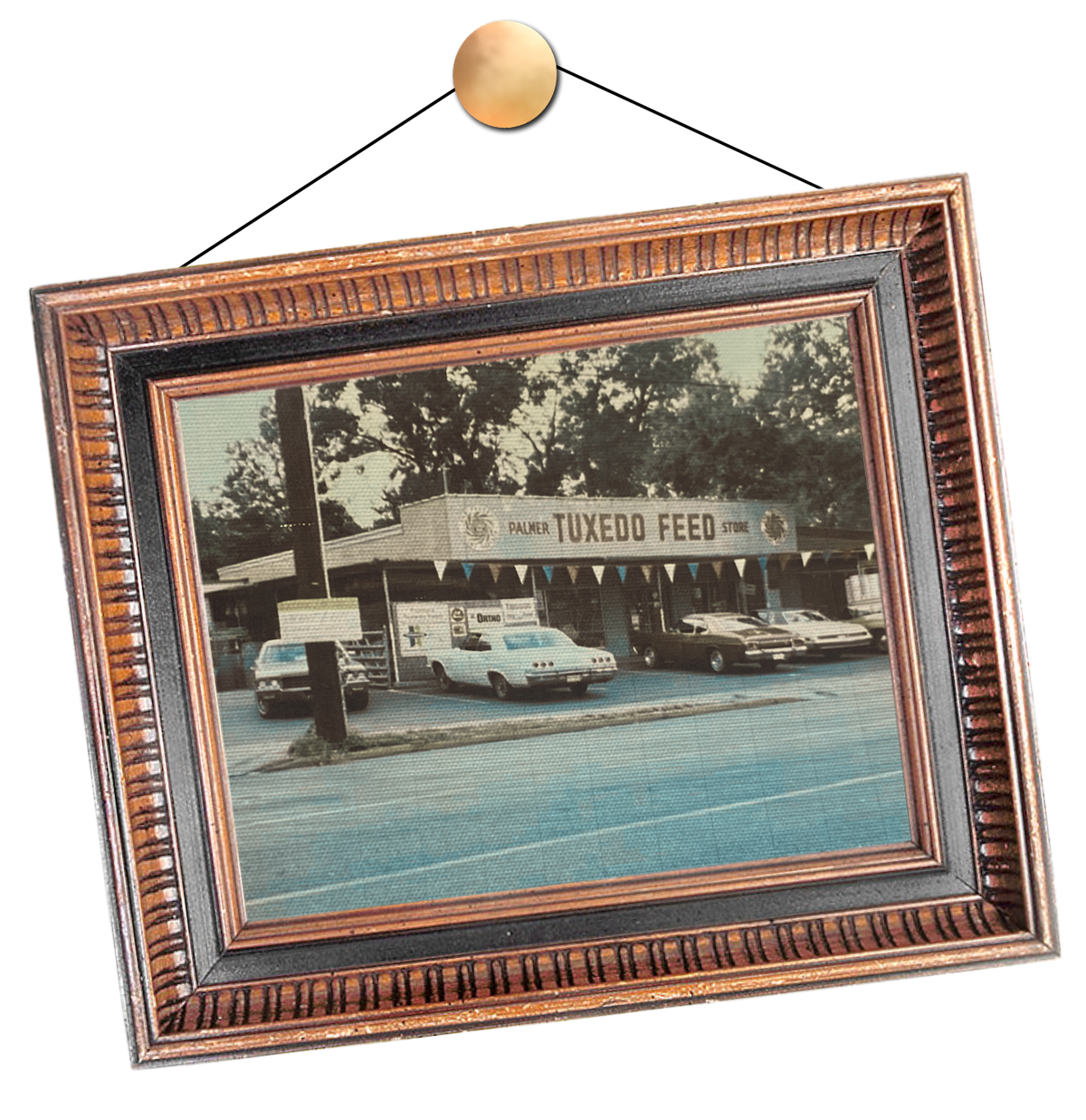 Our History - Palmer's Feed & Seed